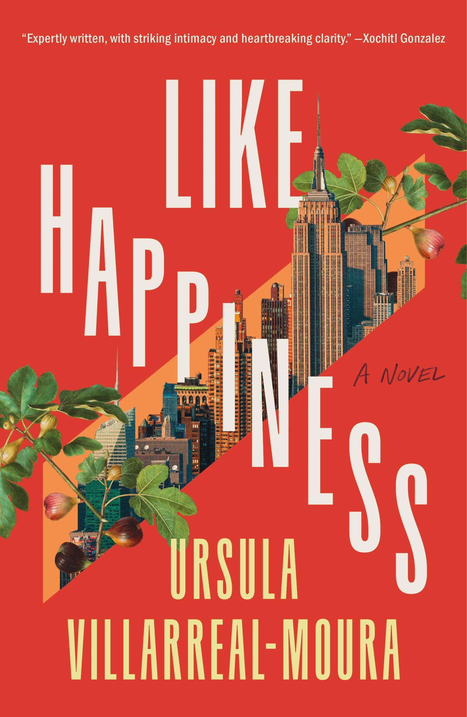 Like Happiness: A Novel